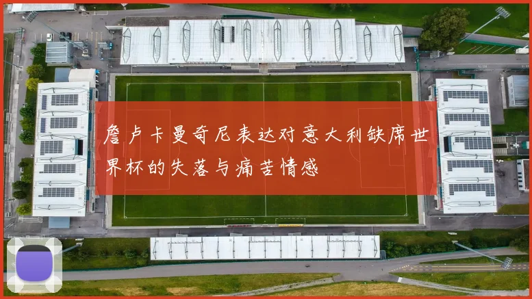 詹卢卡曼奇尼表达对意大利缺席世界杯的失落与痛苦情感