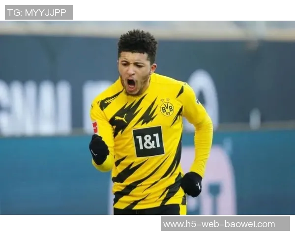 哈兰德仅售6000万多特转手桑乔贝林等五人获利达35亿 哈兰德仅售6000万多特转手桑乔贝林等五人获利达35亿